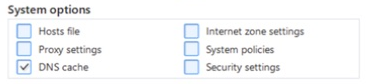 Hosts file option under System options in Reset browser settings